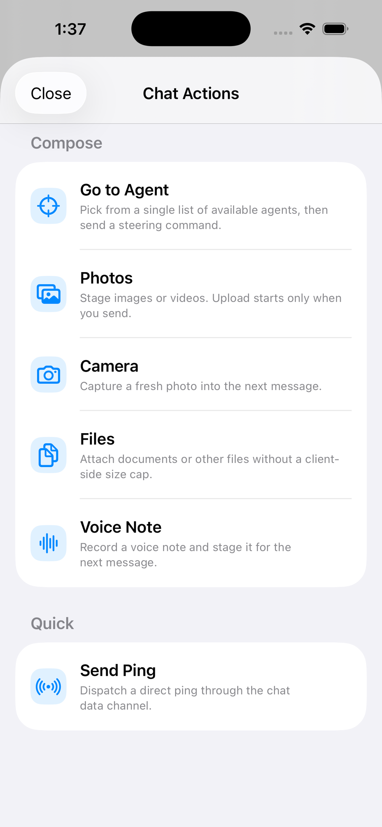 AutoYou chat actions panel